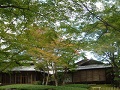 Kyoto Ginkakuji